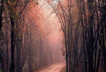 22/23賽季歐冠第2輪葡萄牙體育2-0熱刺 熱刺遭遇黑色三分鐘.